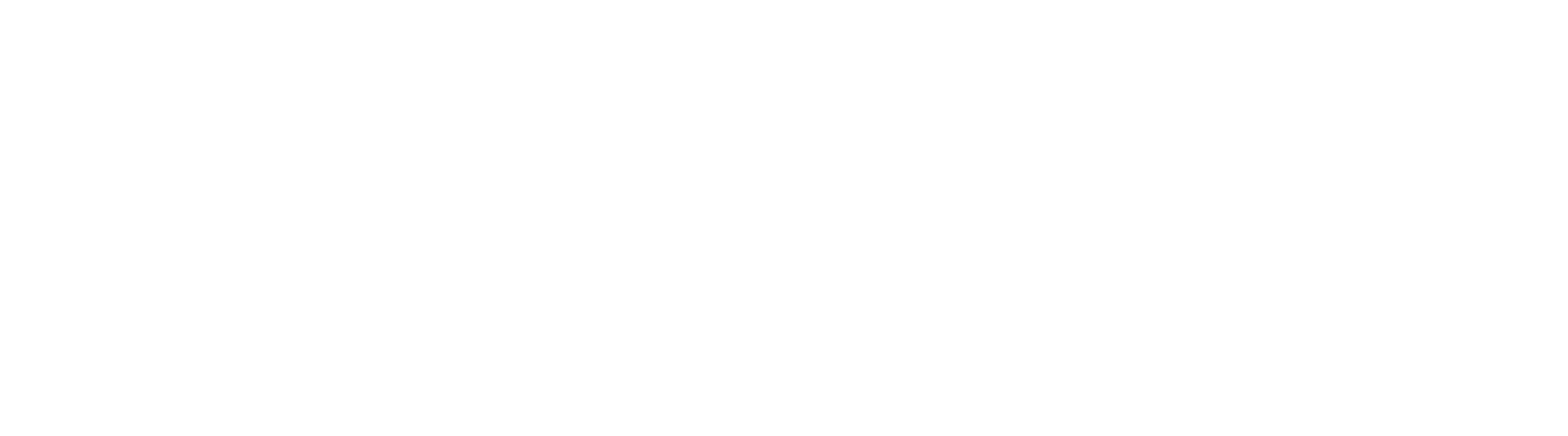 logo_boatlux_horizontal_white_RGB.png